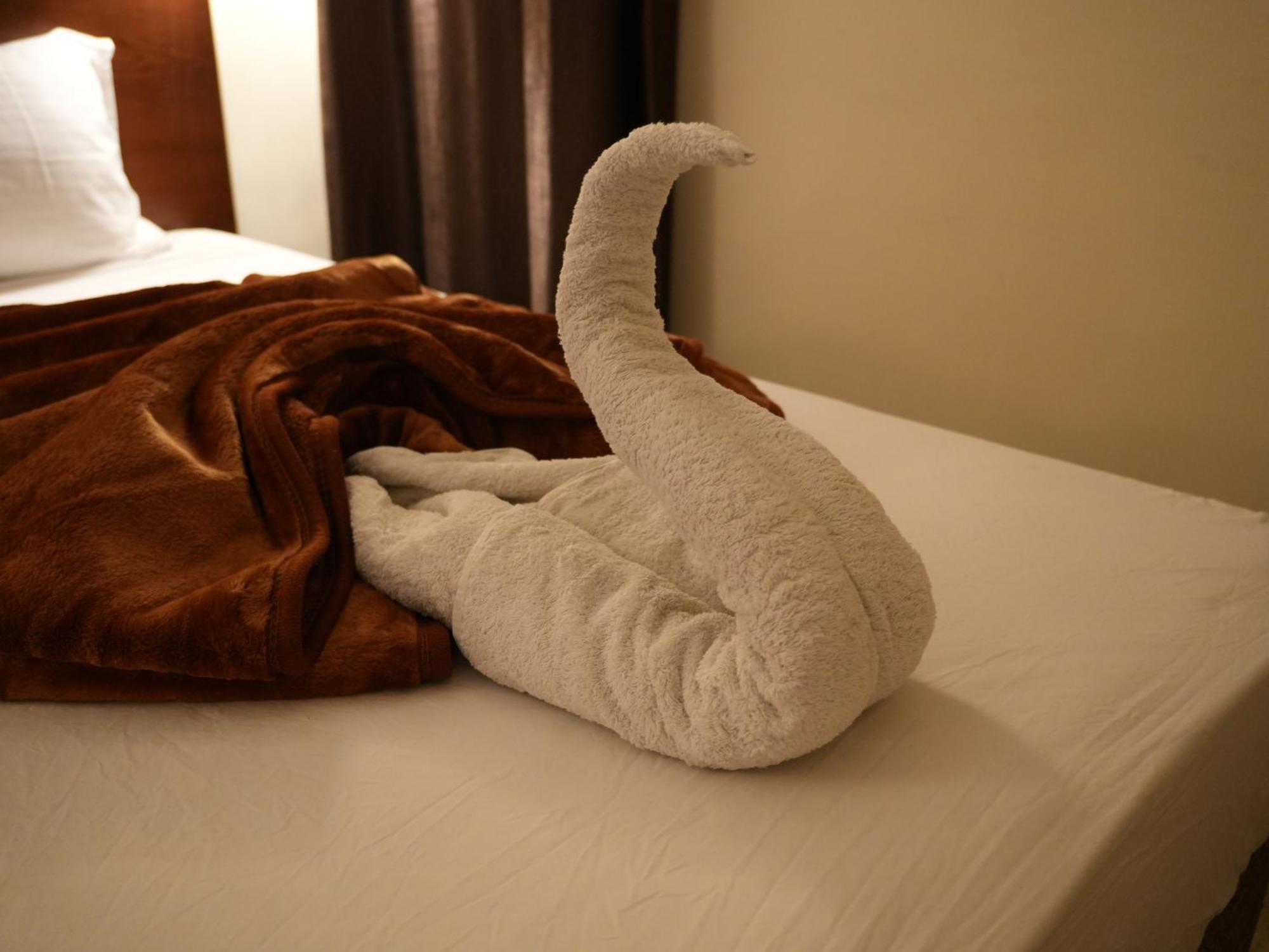 Montana Hotel カイロ エクステリア 写真