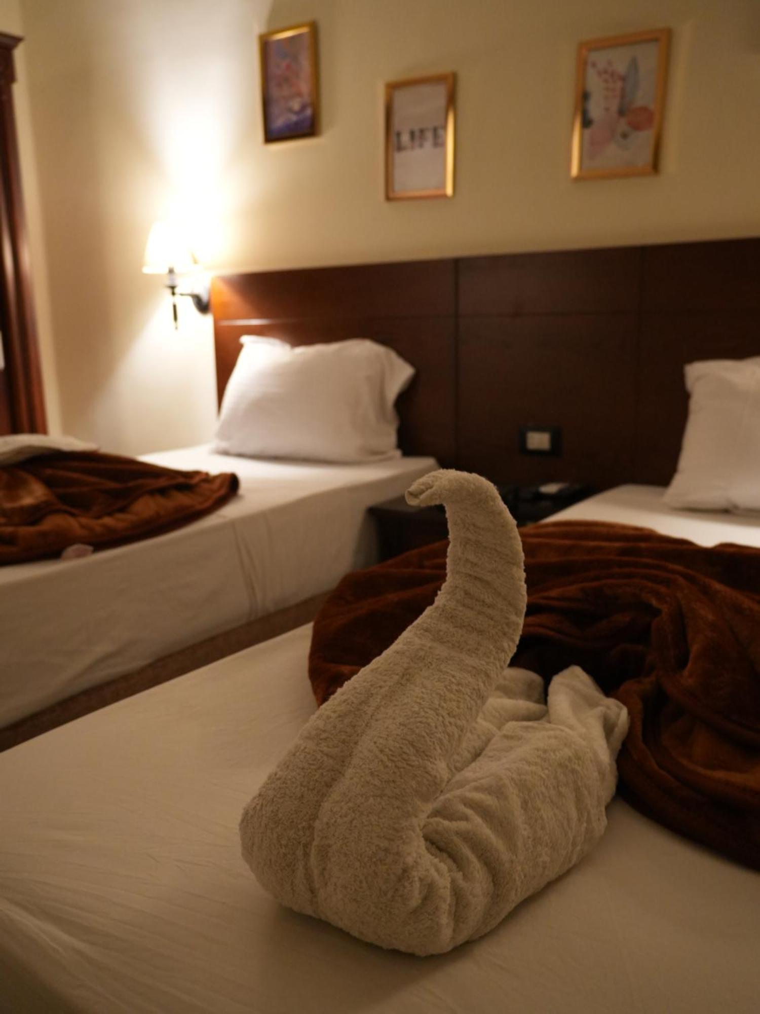 Montana Hotel カイロ エクステリア 写真